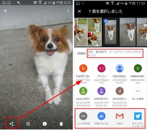 Googleフォト 写真 共有